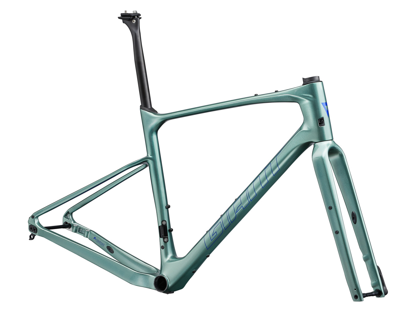 2024 Giant Revolt Advanced Pro Frameset
