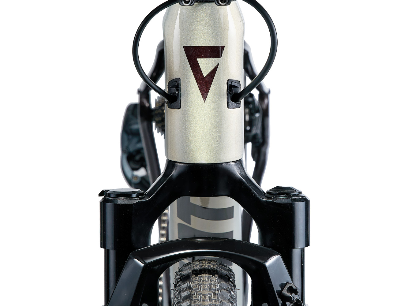 2024 Giant Revolt X Advanced Pro 1