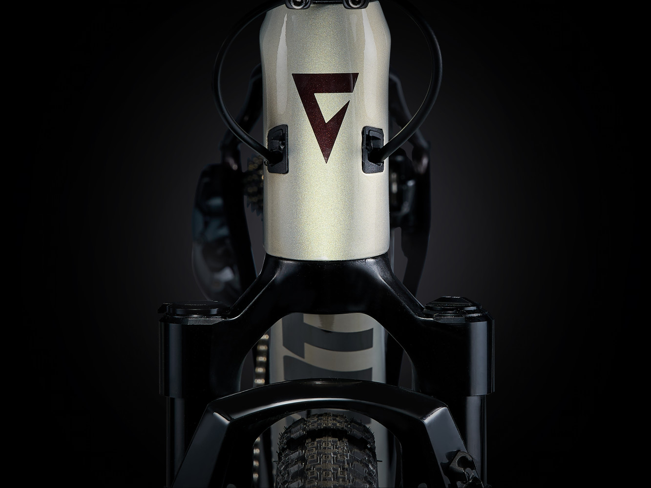 2024 Giant Revolt X Advanced Pro 1