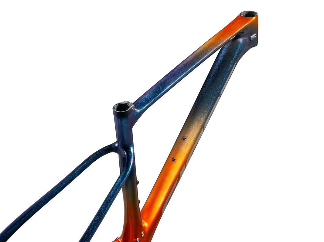 2025 Giant XTC Advanced SL 29 Frameset