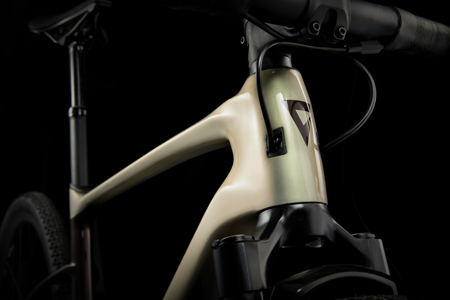 2024 Giant Revolt X Advanced Pro 1